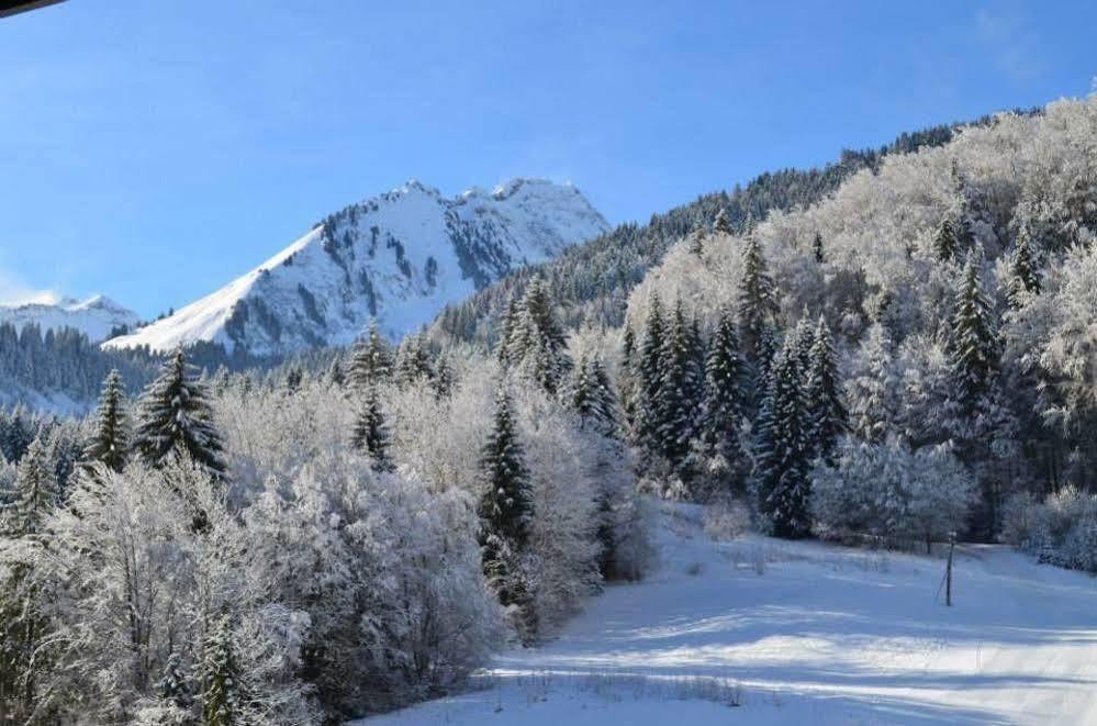 Les Touristes Hotel Abondance Buitenkant foto